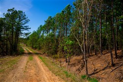 property photo for Stone Creek Phase II Tract 229, 5.63 acres for sale in Latimer County, Oklahoma