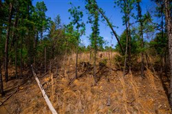 property photo for Stone Creek Phase II Tract 229, 5.63 acres for sale in Latimer County, Oklahoma