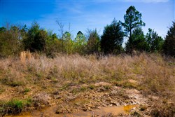 property photo for Stone Creek Phase II Tract 230, 6.86 acres for sale in Latimer County, Oklahoma