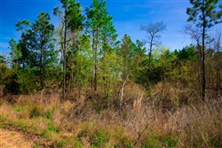 property photo for Stone Creek Phase II Tract 230, 6.86 acres for sale in Latimer County, Oklahoma