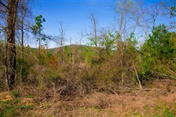 property photo for Stone Creek Phase II Tract 230, 6.86 acres for sale in Latimer County, Oklahoma