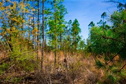 property photo for Stone Creek Phase II Tract 230, 6.86 acres for sale in Latimer County, Oklahoma