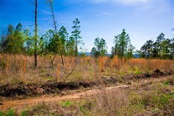 property photo for Stone Creek Phase II Tract 231, 7.5 acres for sale in Latimer County, Oklahoma