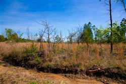 property photo for Stone Creek Phase II Tract 231, 7.5 acres for sale in Latimer County, Oklahoma
