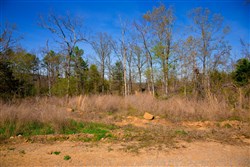 property photo for Stone Creek Phase II Tract 231, 7.5 acres for sale in Latimer County, Oklahoma