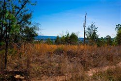 property photo for Stone Creek Phase II Tract 231, 7.5 acres for sale in Latimer County, Oklahoma