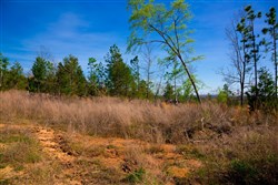 property photo for Stone Creek Phase II Tract 231, 7.5 acres for sale in Latimer County, Oklahoma