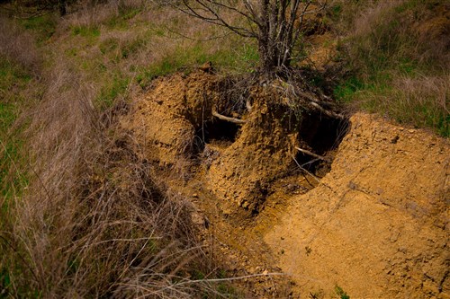 Stone Creek Phase II Tract 232