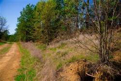 Stone Creek Phase II Tract 232