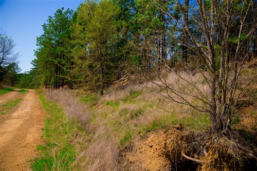 Stone Creek Phase II Tract 232