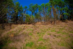 Stone Creek Phase II Tract 232