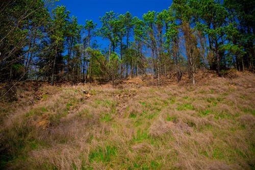 Stone Creek Phase II Tract 232