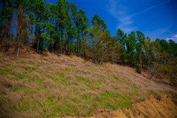 Stone Creek Phase II Tract 232