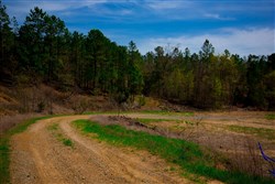 Stone Creek Phase II Tract 232