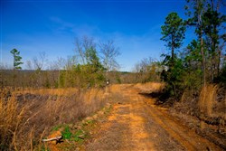 property photo for Stone Creek Phase II Tract 233, 15.79 acres for sale in Latimer County, Oklahoma