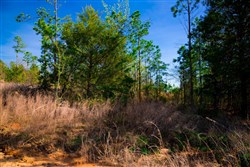 property photo for Stone Creek Phase II Tract 233, 15.79 acres for sale in Latimer County, Oklahoma