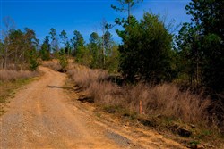 property photo for Stone Creek Phase II Tract 233, 15.79 acres for sale in Latimer County, Oklahoma