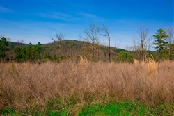 property photo for Stone Creek Phase II Tract 233, 15.79 acres for sale in Latimer County, Oklahoma