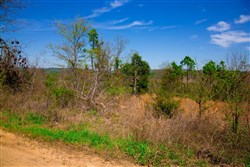 property photo for Stone Creek Phase II Tract 234, 9.85 acres for sale in Latimer County, Oklahoma