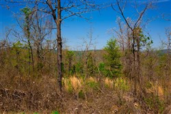 property photo for Stone Creek Phase II Tract 234, 9.85 acres for sale in Latimer County, Oklahoma
