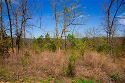 property photo for Stone Creek Phase II Tract 234, 9.85 acres for sale in Latimer County, Oklahoma