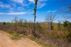 property photo for Stone Creek Phase II Tract 234, 9.85 acres for sale in Latimer County, Oklahoma