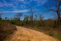 property photo for Stone Creek Phase II Tract 234, 9.85 acres for sale in Latimer County, Oklahoma