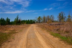 property photo for Stone Creek Phase II Tract 235, 30.46 acres for sale in Latimer County, Oklahoma