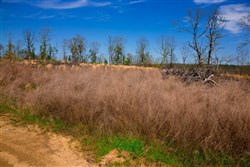 property photo for Stone Creek Phase II Tract 235, 30.46 acres for sale in Latimer County, Oklahoma