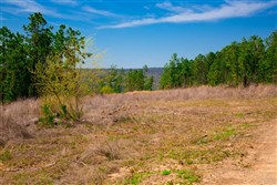 property photo for Stone Creek Phase II Tract 235, 30.46 acres for sale in Latimer County, Oklahoma