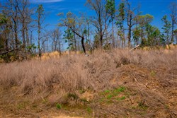 property photo for Stone Creek Phase II Tract 235, 30.46 acres for sale in Latimer County, Oklahoma