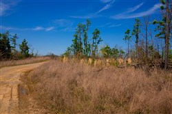 property photo for Stone Creek Phase II Tract 235, 30.46 acres for sale in Latimer County, Oklahoma