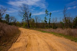 property photo for Stone Creek Phase II Tract 236, 46.18 acres for sale in Latimer County, Oklahoma