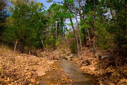 property photo for Stone Creek Phase II Tract 236, 46.18 acres for sale in Latimer County, Oklahoma