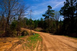 property photo for Stone Creek Phase II Tract 237, 34.52 acres for sale in Latimer County, Oklahoma