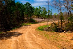 property photo for Stone Creek Phase II Tract 238, 40.85 acres for sale in Latimer County, Oklahoma