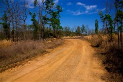 property photo for Stone Creek Phase II Tract 240, 15.4 acres for sale in Latimer County, Oklahoma