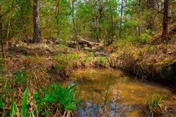 property photo for Stone Creek Phase II Tract 240, 15.4 acres for sale in Latimer County, Oklahoma