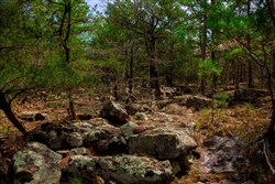property photo for Stone Creek Phase II Tract 240, 15.4 acres for sale in Latimer County, Oklahoma