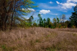 property photo for Stone Creek Phase II Tract 241, 15.13 acres for sale in Latimer County, Oklahoma