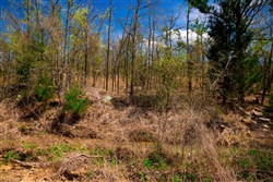 property photo for Stone Creek Phase II Tract 241, 15.13 acres for sale in Latimer County, Oklahoma