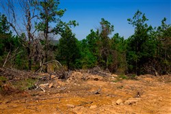 property photo for Stone Creek Phase II Tract 242, 12.53 acres for sale in Latimer County, Oklahoma