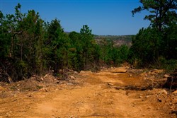 property photo for Stone Creek Phase II Tract 242, 12.53 acres for sale in Latimer County, Oklahoma