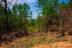 property photo for Stone Creek Phase II Tract 242, 12.53 acres for sale in Latimer County, Oklahoma