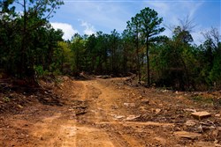 property photo for Stone Creek Phase II Tract 242, 12.53 acres for sale in Latimer County, Oklahoma
