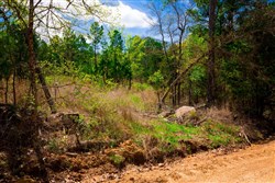 property photo for Stone Creek Phase II Tract 242, 12.53 acres for sale in Latimer County, Oklahoma