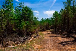 property photo for Stone Creek Phase II Tract 243, 21.4 acres for sale in Latimer County, Oklahoma