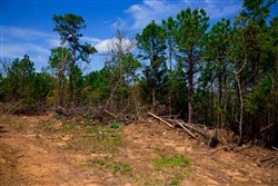 property photo for Stone Creek Phase II Tract 243, 21.4 acres for sale in Latimer County, Oklahoma