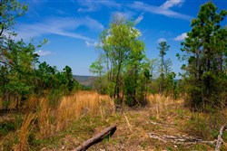 property photo for Stone Creek Phase II Tract 243, 21.4 acres for sale in Latimer County, Oklahoma