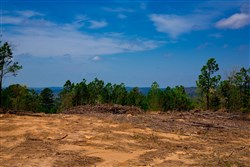 property photo for Stone Creek Phase II Tract 243, 21.4 acres for sale in Latimer County, Oklahoma